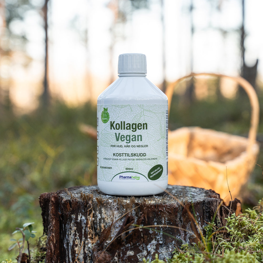 Kollagen Vegan